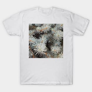 White Spruce T-Shirt